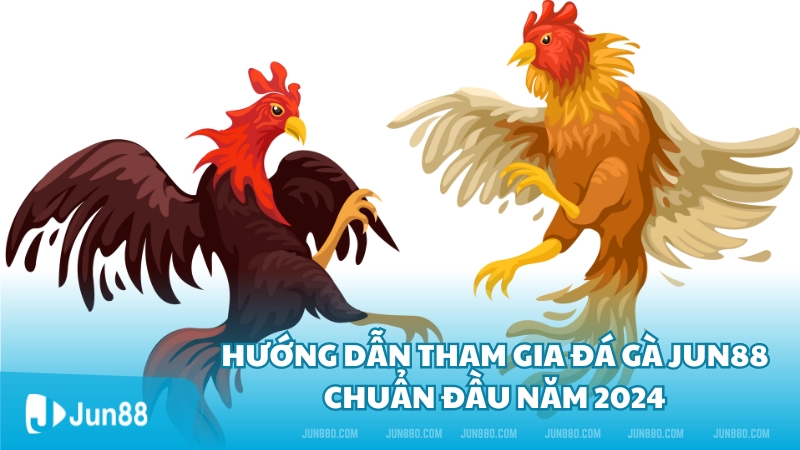 Hướng dẫn tham gia Đá Gà Jun88 chuẩn đầu năm 2024