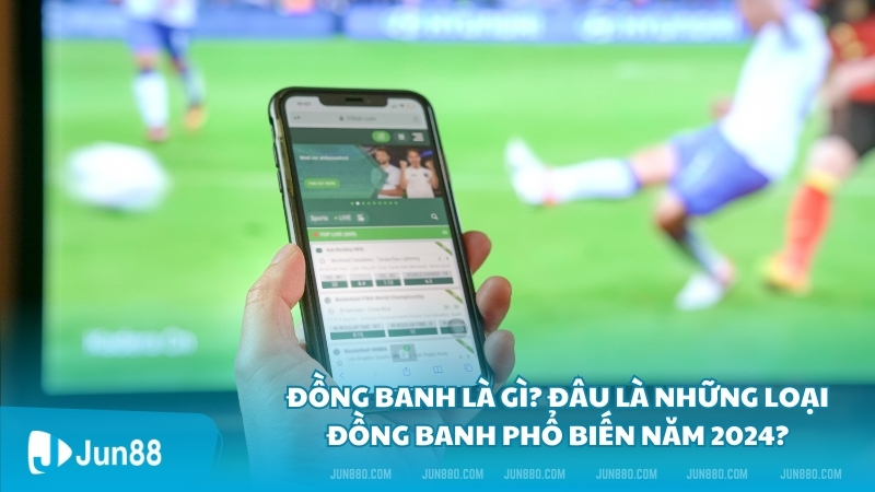 Đồng banh là gì? Đâu là những loại đồng banh phổ biến năm 2024?