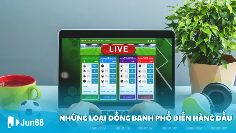 Những loại đồng banh phổ biến hàng đầu