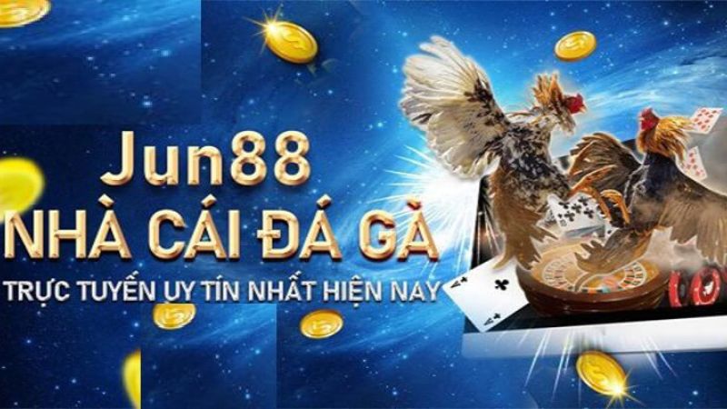 Đá gà thưởng mỗi ngày cùng Jun88 - Cơ hội thắng với với giải thưởng hấp dẫn